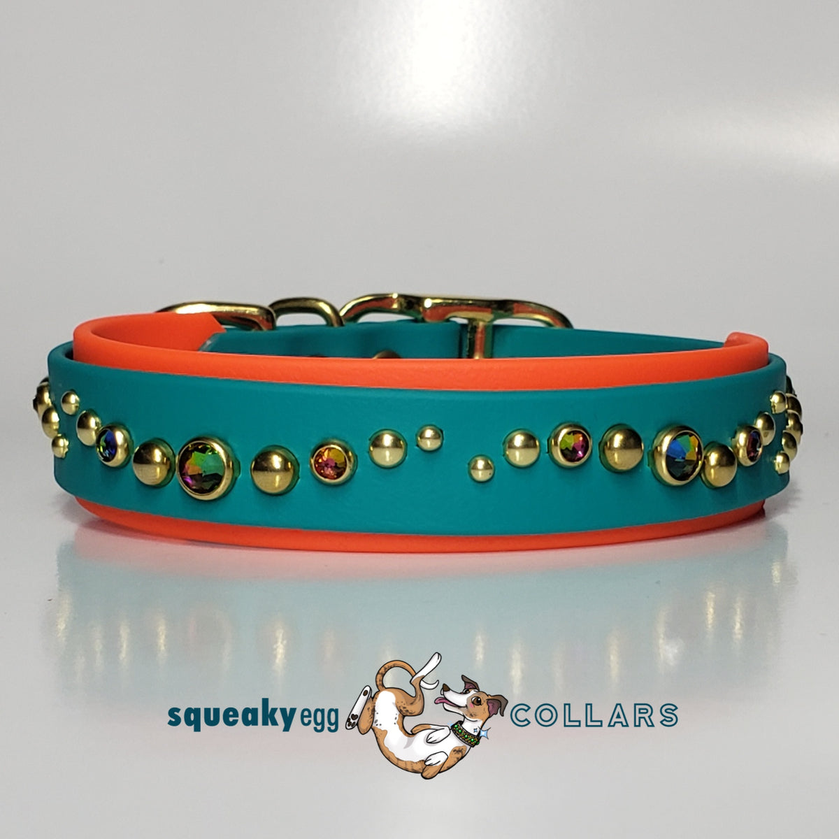 Micro Whirl Biothane Buckle Collar Squeaky Egg Shop micro-whirl-biothane-buckle-collar-squeaky-egg-shop