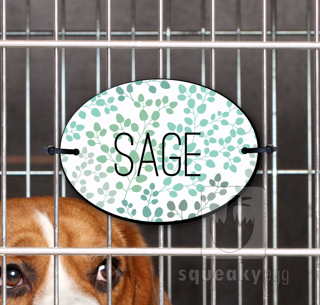 Sage