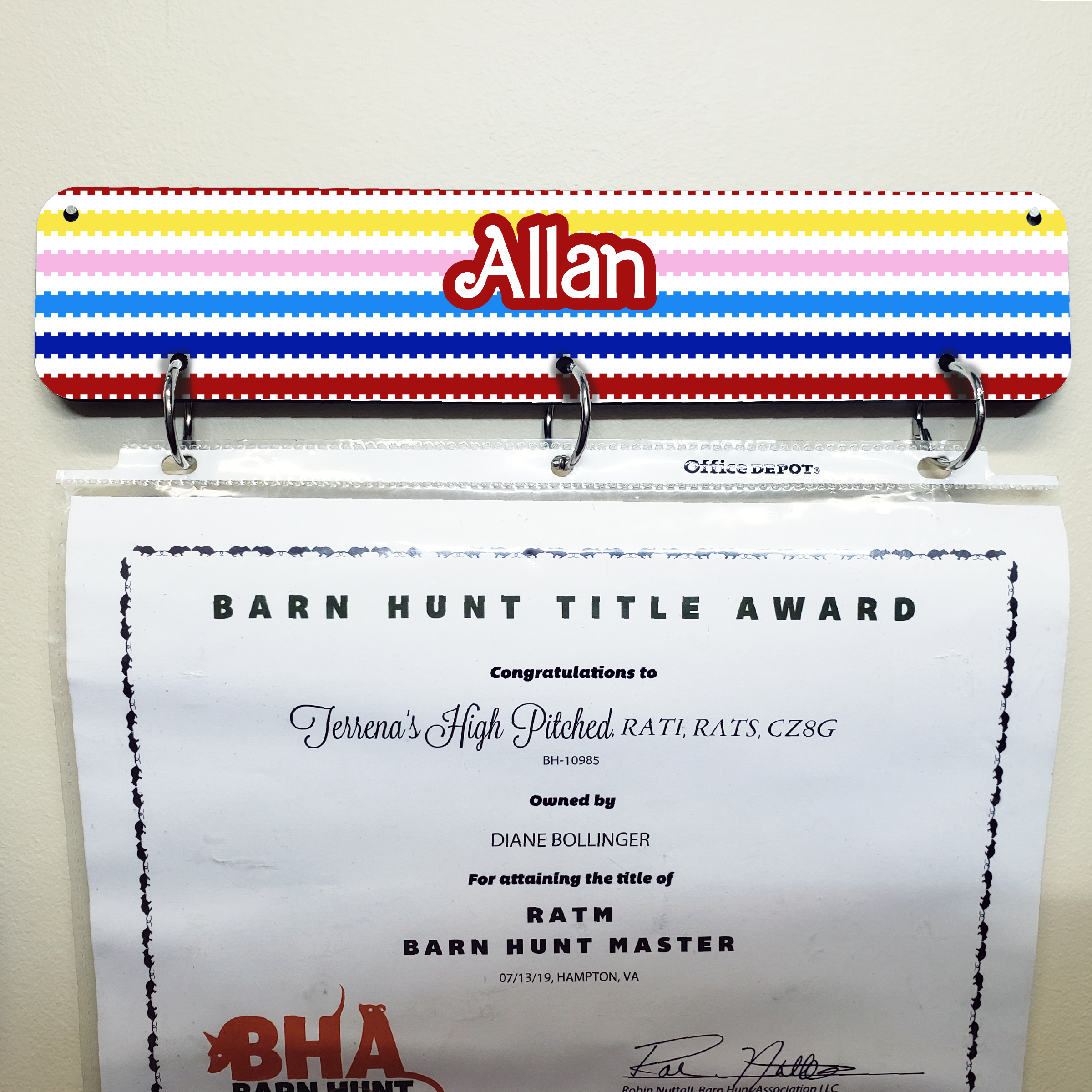 Allan - Certificate Display