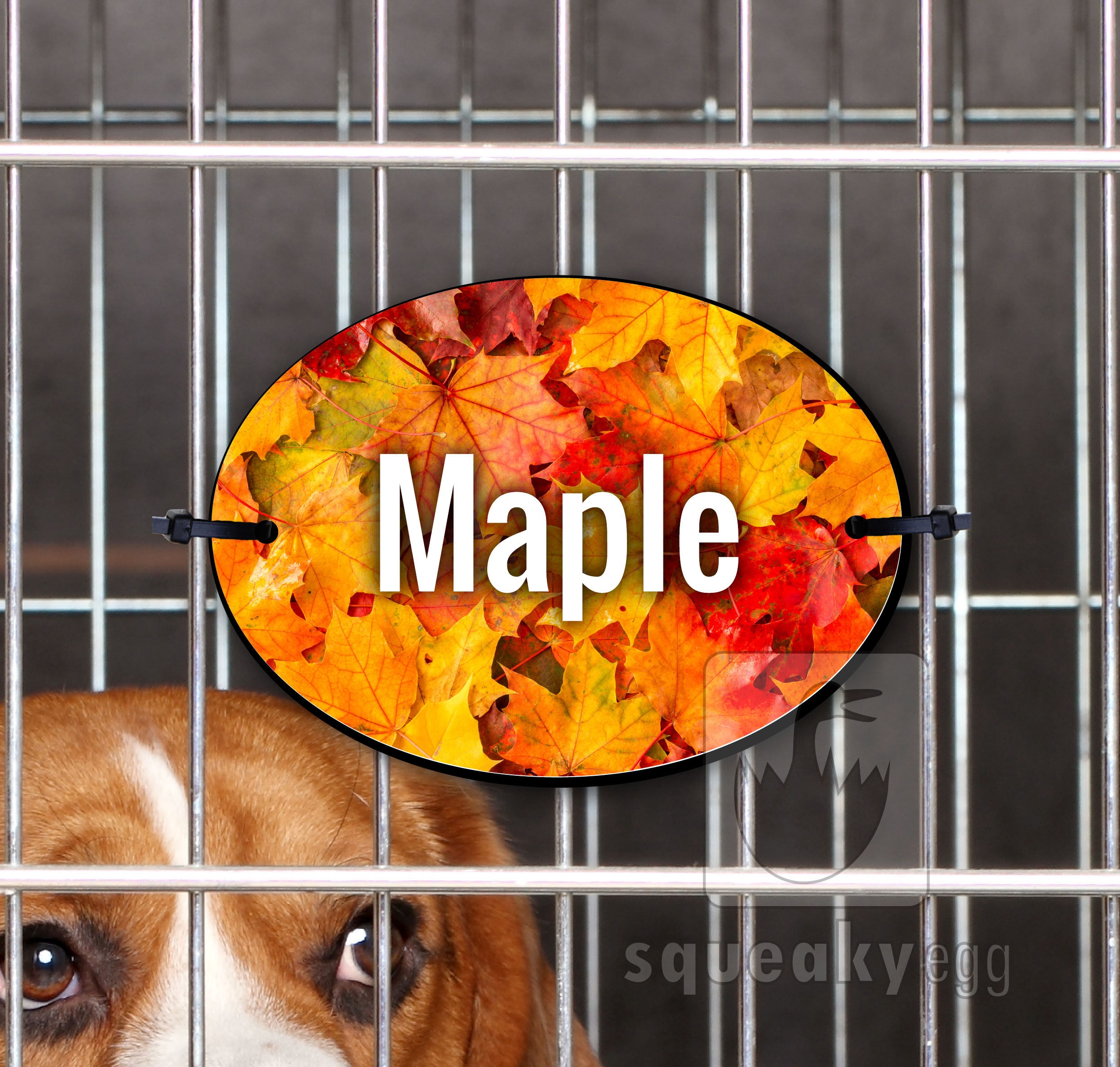 Maple - Crate Tag