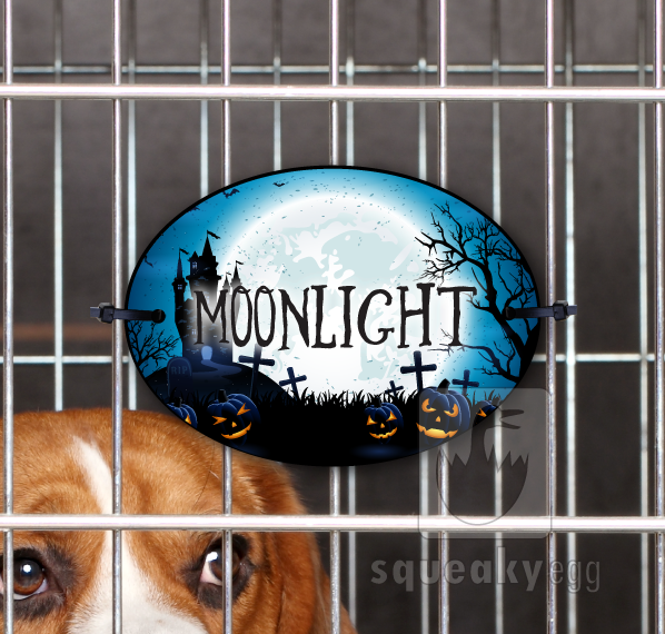 Moonlight - Crate Tag