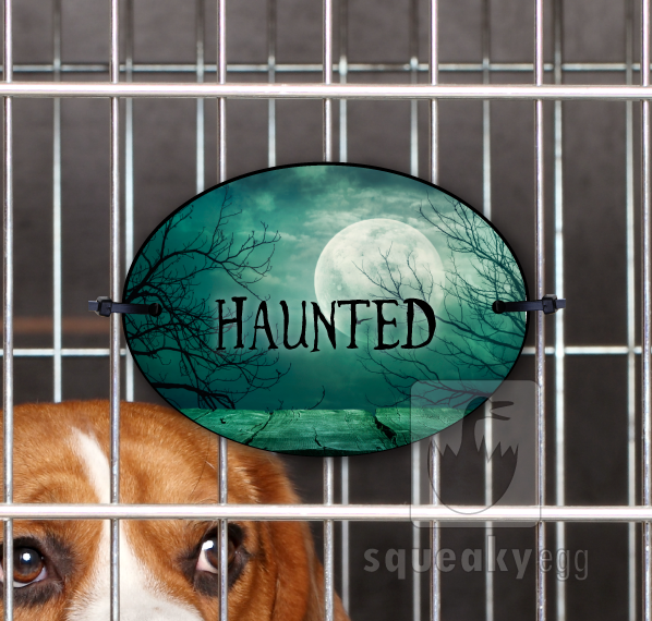 Haunted - Crate Tag