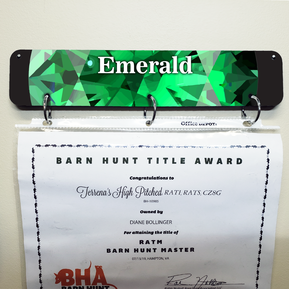 Emerald - Certificate Display – Squeaky Egg Shop
