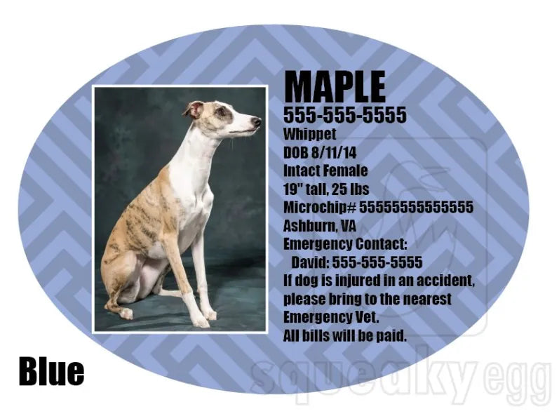 Crate tags for sales dogs