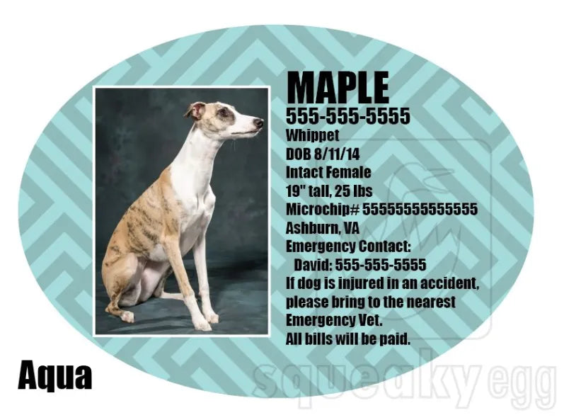 Emergency Crate Tag Squeaky Egg Shop