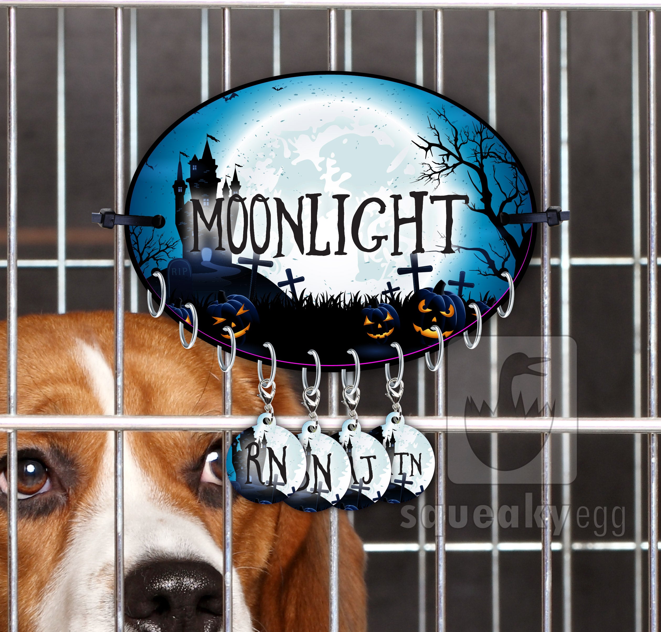 Moonlight - Crate Tag
