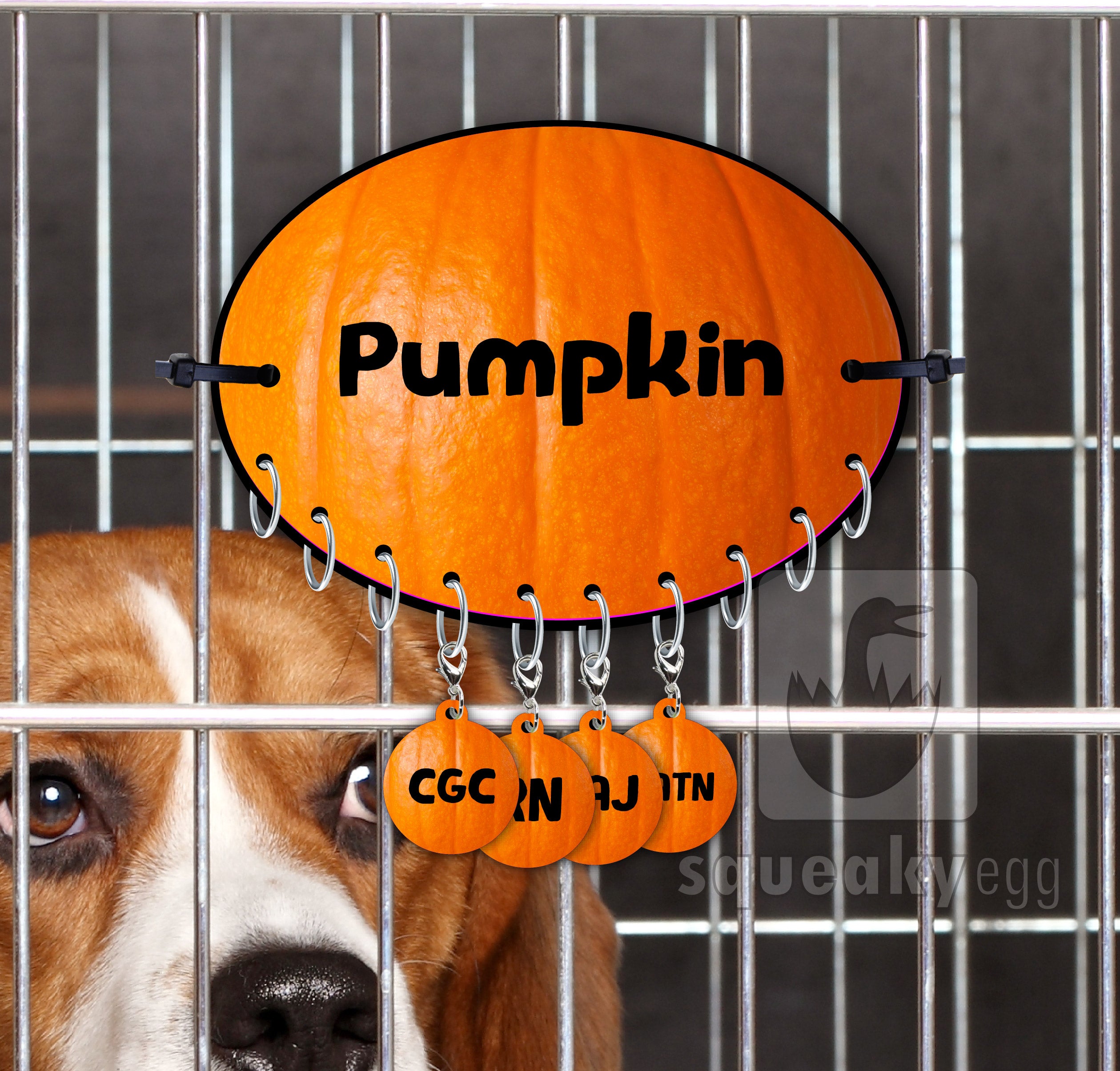 Pumpkin - Title Charm